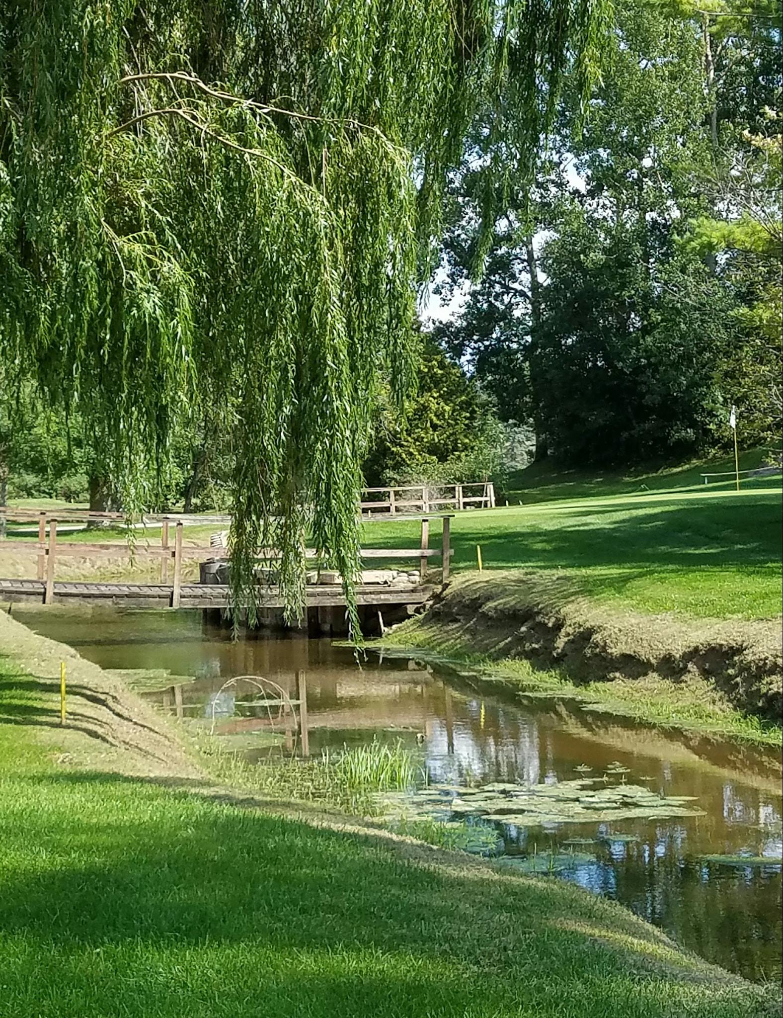A small creek with lily pads floating on it. A large willow tree's branches hang over it. A foot bridge leads to the 8th green at Cheboygan Golf & Coutry Club.