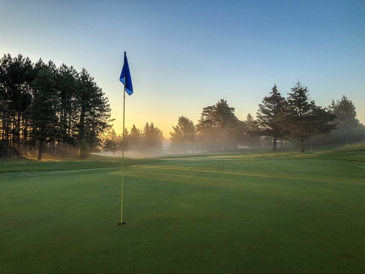 A long golf green. There is a veil of fog in the background, and groups of various conifers flanking the landscape.